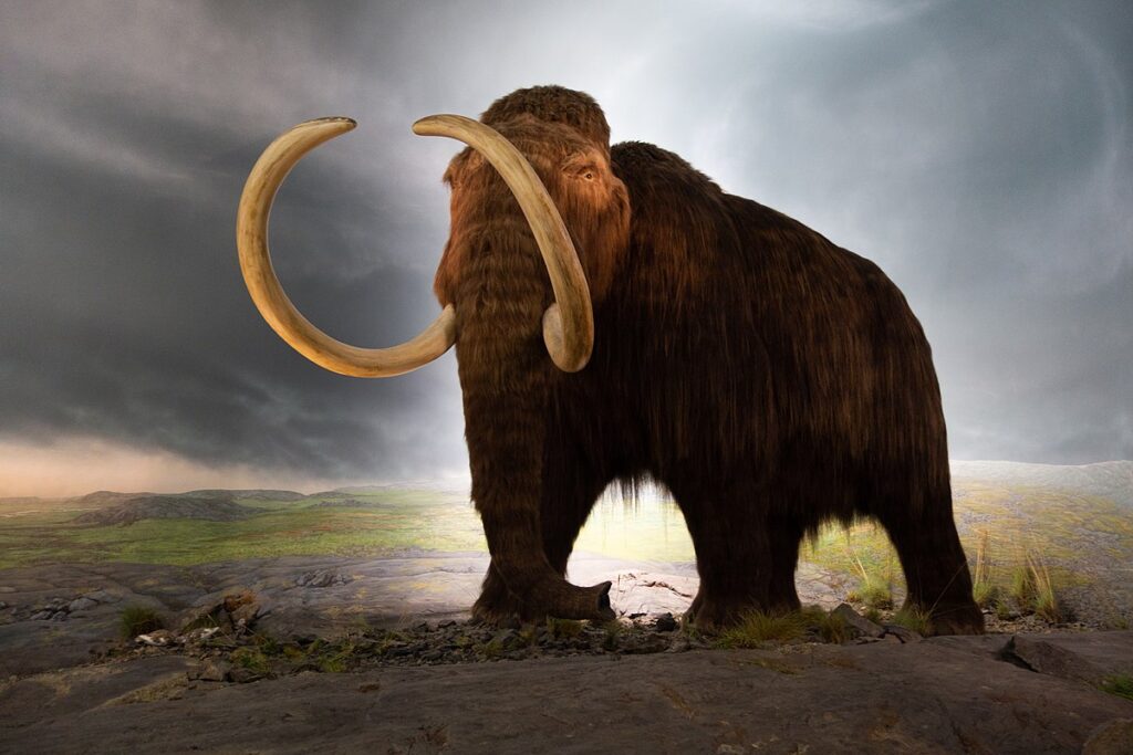 Million-year-old DNA sheds light on the genomic history of mammoths