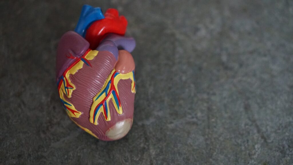Hydrogel Can Prevent Damage of Heart Muscles After A Heart Attack
